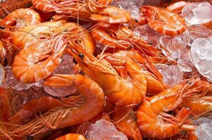 Read more about the article Seafood 2